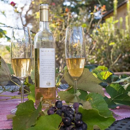 Podere La Casetta - Casa Di Campagna Montaione Zewnętrze zdjęcie