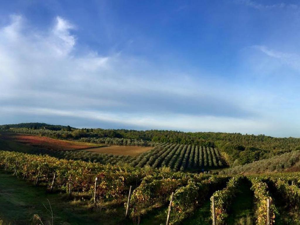 Podere La Casetta - Casa Di Campagna Montaione Zewnętrze zdjęcie