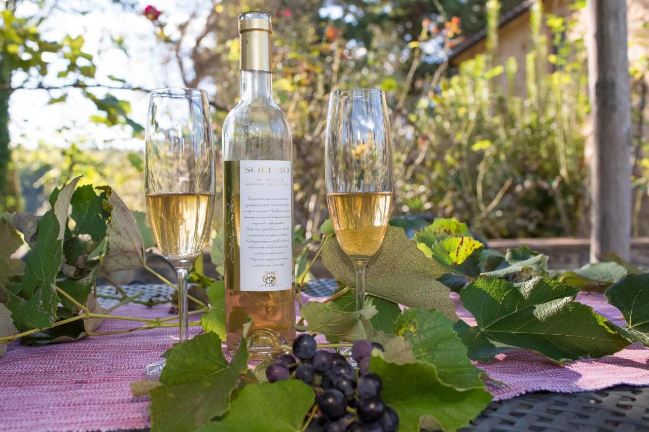 Podere La Casetta - Casa Di Campagna Montaione Zewnętrze zdjęcie