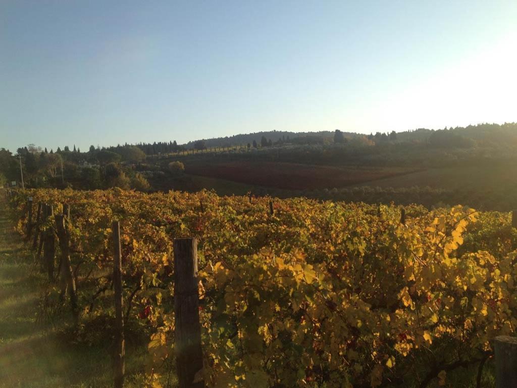 Podere La Casetta - Casa Di Campagna Montaione Zewnętrze zdjęcie