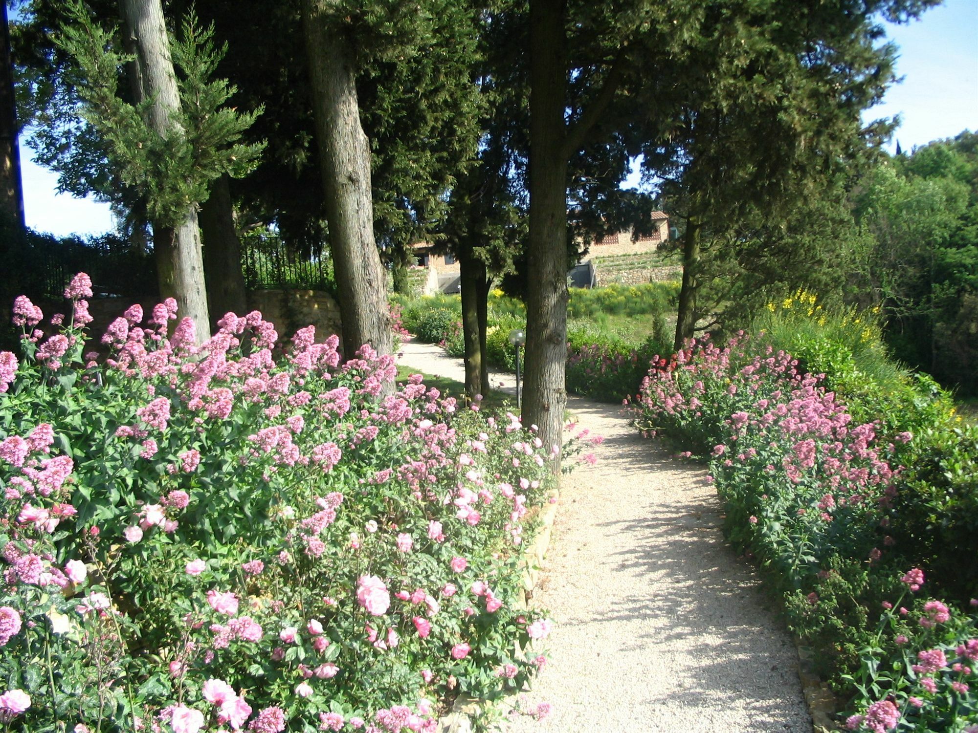 Podere La Casetta - Casa Di Campagna Montaione Zewnętrze zdjęcie