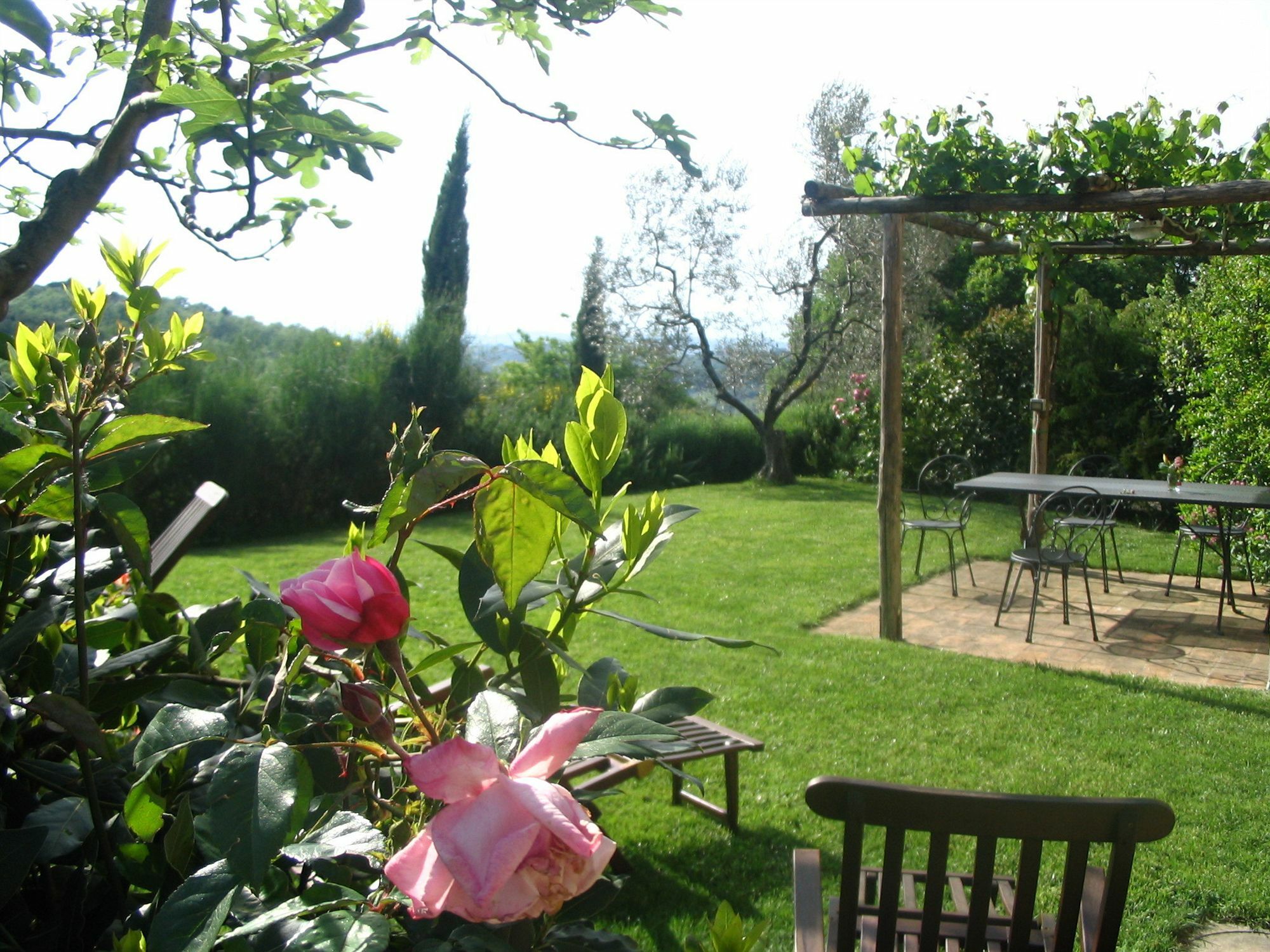 Podere La Casetta - Casa Di Campagna Montaione Zewnętrze zdjęcie